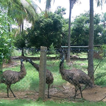 Mango Village Farm House Nelliyampathy Exterior foto